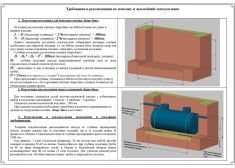 Барс Био 10
